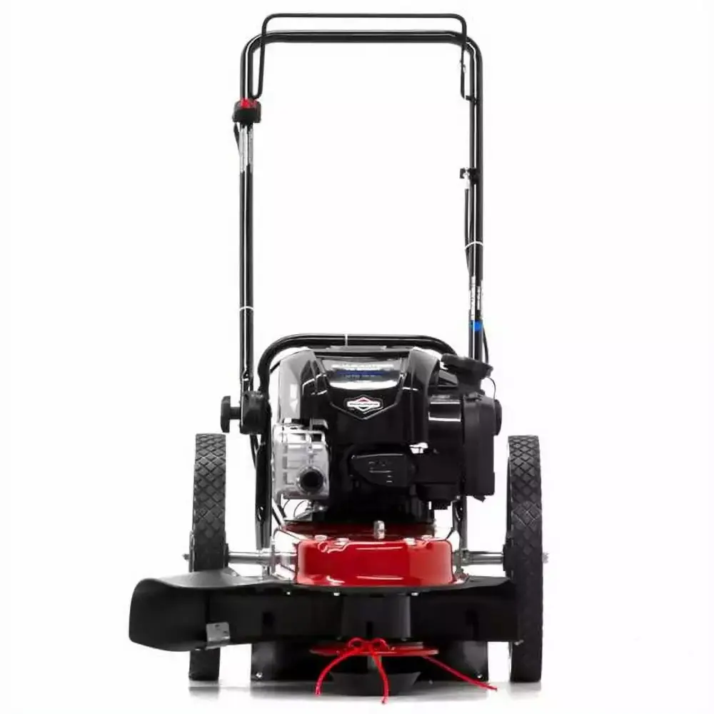 37391 22 in. 163 CC Gas Trimmer Mower