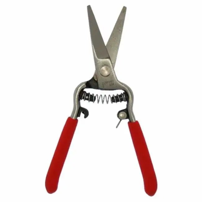 Zenport Needle Nose Shear Bonsai Orchids Mini 6 in. - Box of 10