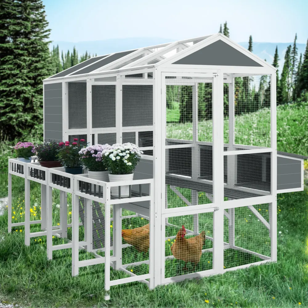 Stylishken Coop Run Outdoor Chicken Coop 10 Chickens meknow