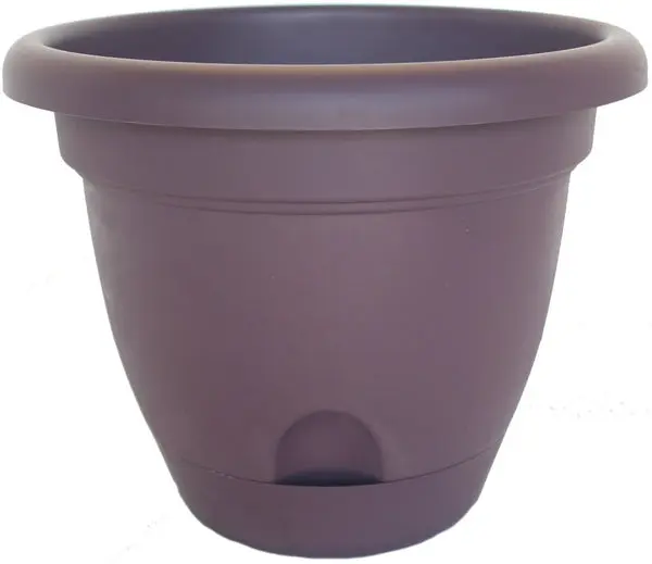 Bloem LP1256 Lucca Self-Watering Plastic Planter Exotica 12 Inch Indoor Plants