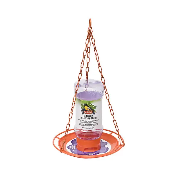 Perky-Pet 253 Oriole Jelly Wild Bird Feeder Bottle and Hanging Chain 32 Oz
