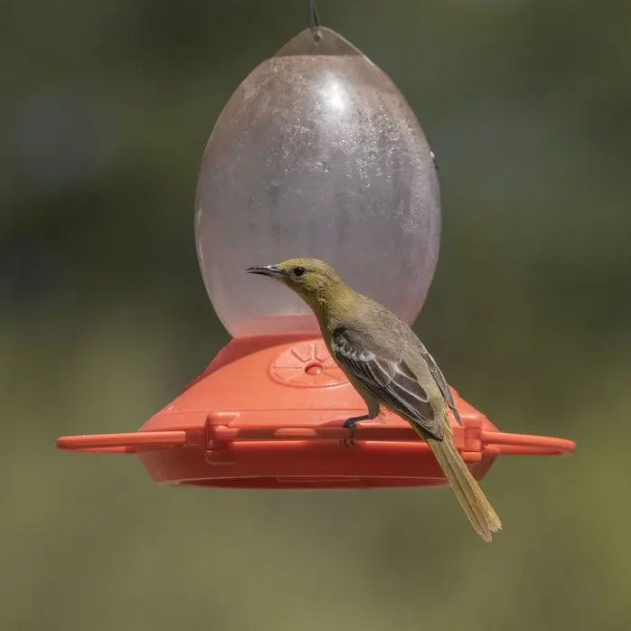Perky-Pet Plastic Oriole Feeder Outdoor Bird Watching