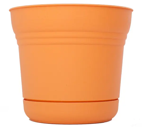 Bloem SP1020 Plastic Round Saturn Planter Saucer 10 Inch Tequila Sunrise