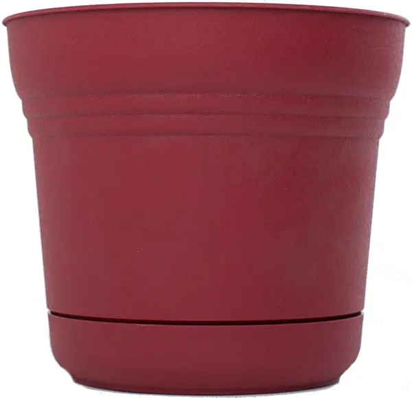 Bloem SP1212 Plastic Round Saturn Planter Saucer 12 Inch Union Red