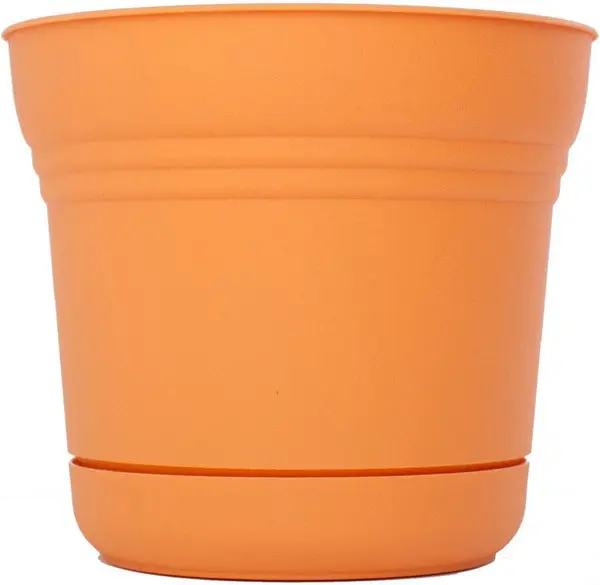 Bloem SP1220 Plastic Round Saturn Planter Saucer 12 Inch Tequila Sunrise
