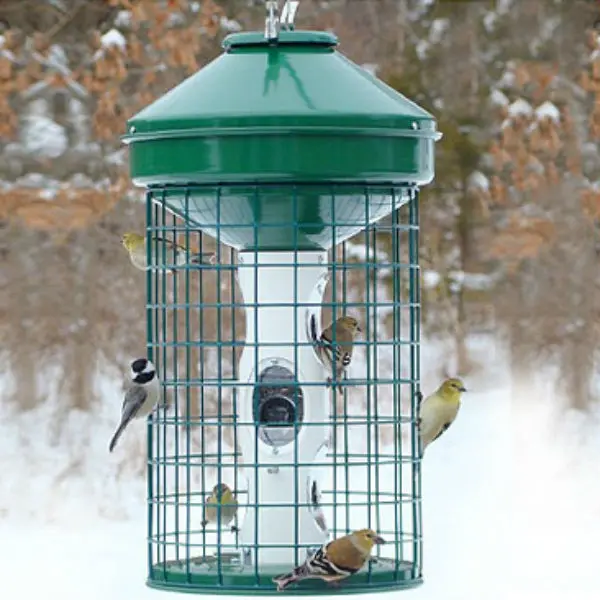Woodlink NAAV1MNP Heavy Duty Caged Mixed Seed Bird Feeder 18 Lbs Capacity Outdoor