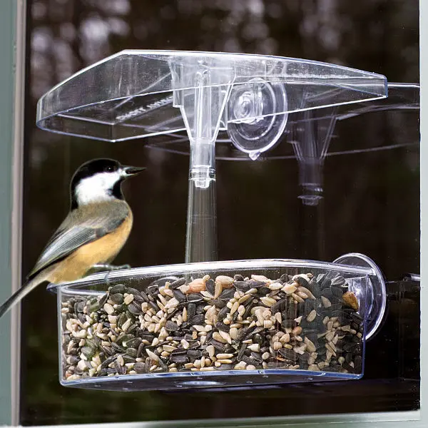 Droll Yankees OWF Observer Window Bird Feeder UV-Stabilized Polycarbonate Bird Watching